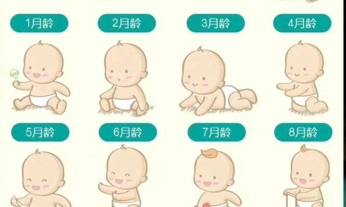 天津格林国际幼儿园学费-火箭药膏的功效和作用-人体结构几何体速写,中国火箭药膏的功效网站