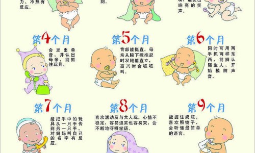 天津格林国际幼儿园学费-火箭药膏的功效和作用-人体结构几何体速写,中国火箭药膏的功效网站